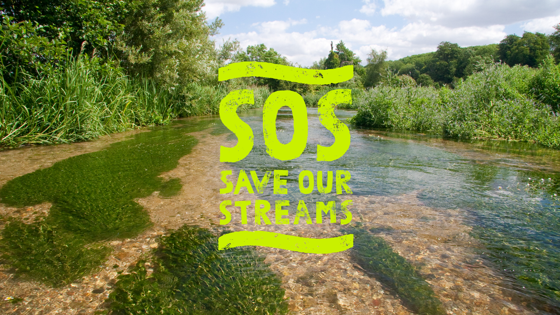 Save Our Streams